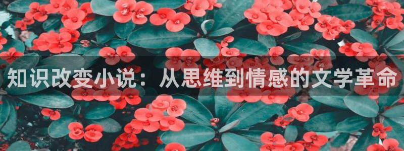 一点文学小说排行榜txt：知识改变小说：从思维到情感的文学革命